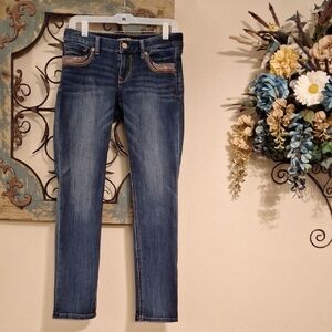 Express Indigo Skinny Jeans. Excellent Condition NWOT Size 4